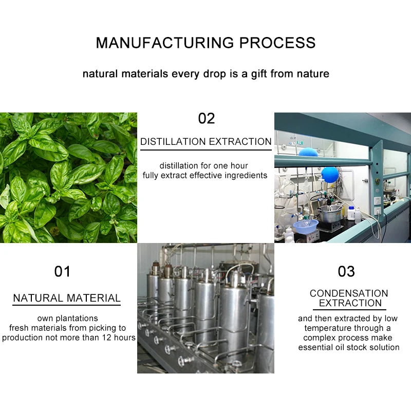 Wholesale Bulk Price 100% Natural Organic Indian Sandalwood Essential Oil Fresh Odor Perfume Oil for Body Skincare OEM MSDS